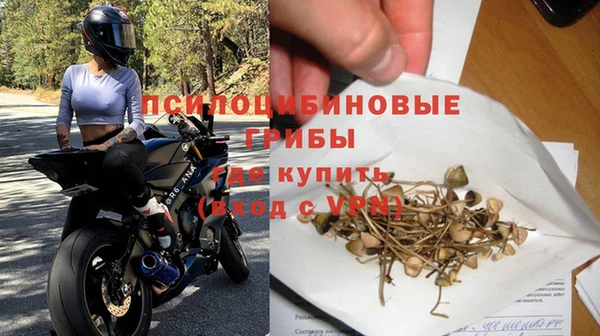 МДПВ Алексеевка