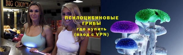 тгк Алексин