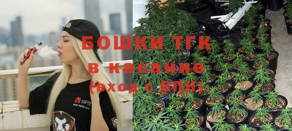 МДПВ Алексеевка