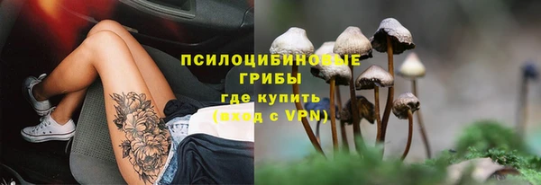 МДПВ Алексеевка
