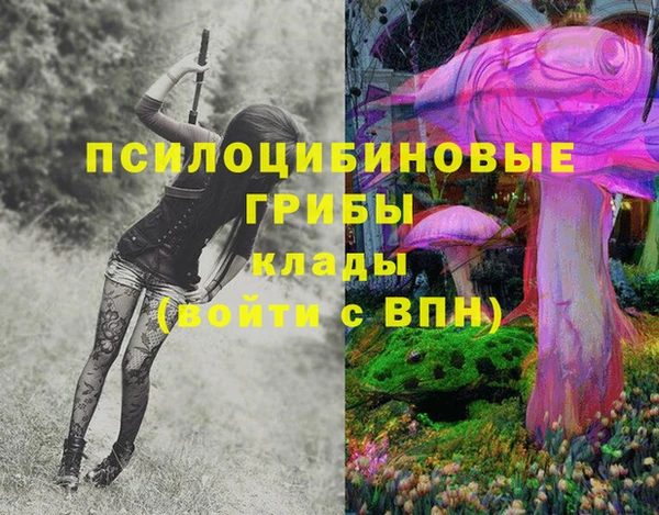 тгк Алексин