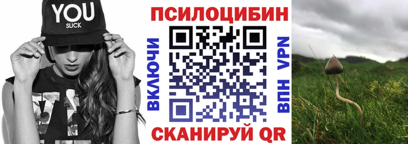Галлюциногенные грибы MAGIC MUSHROOMS  Купить закладки  Сочи 
